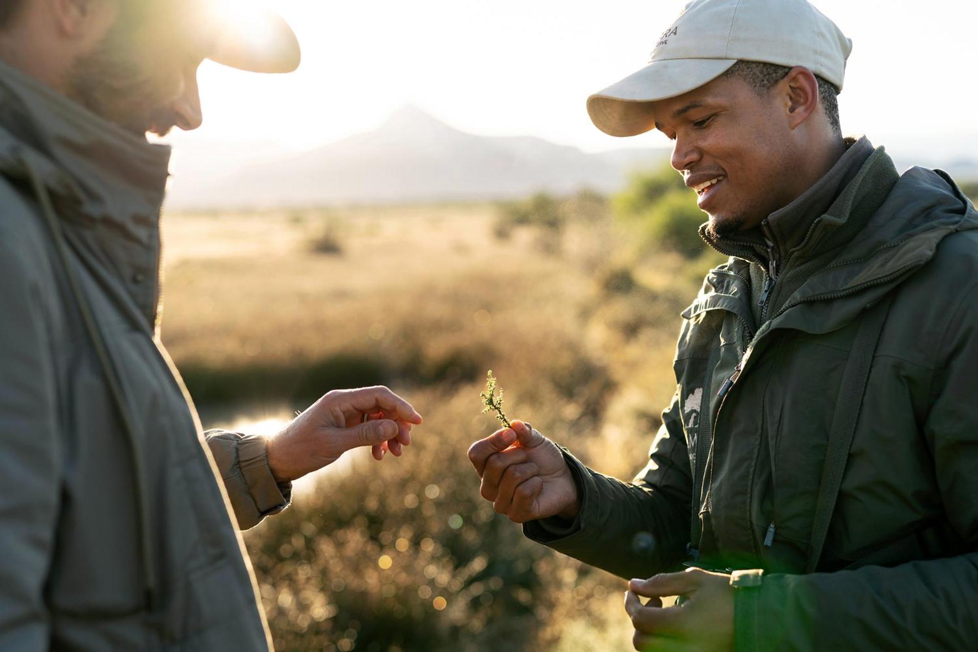 Samara Karoo Reserve Храфф-Рейнет Экстерьер фото
